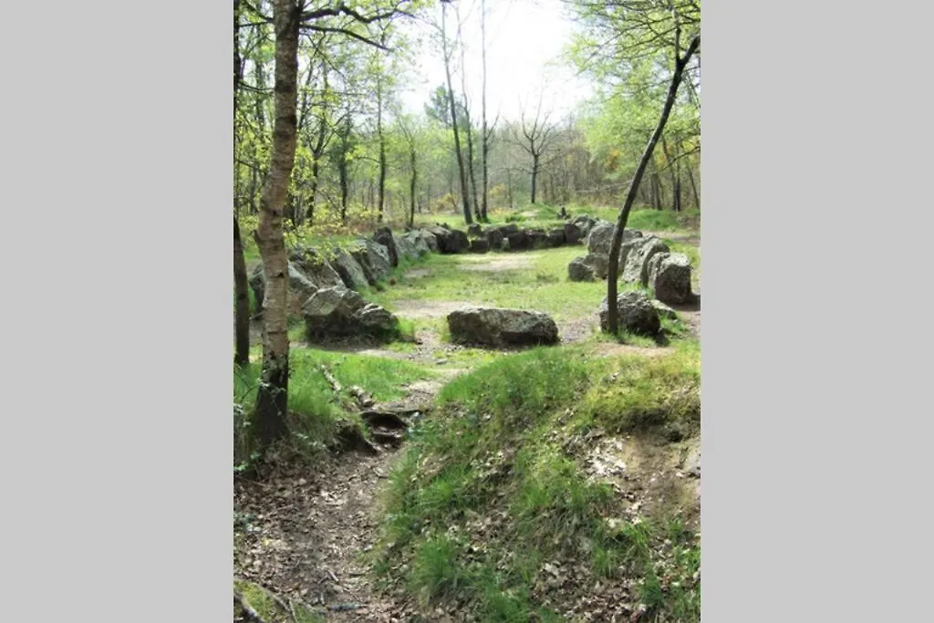 Chalet la Hulotte Forêt de Brocéliande Trehorenteuc France